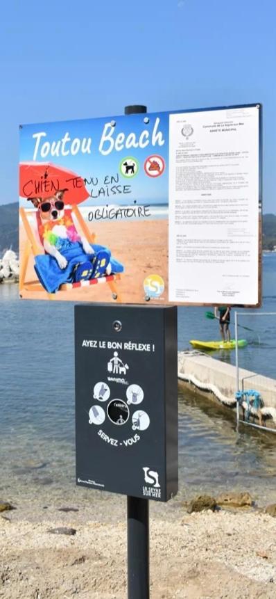 Studio Romy Les Pieds Dans L'Eau 10 M De La Mer La Seyne-sur-Mer Exterior photo